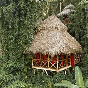 ** Resort Dominican Tree House Village Repubblica Dominicana